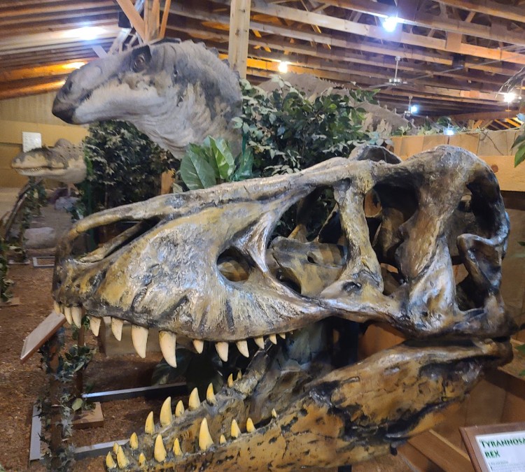 dinosaur-museum-photo